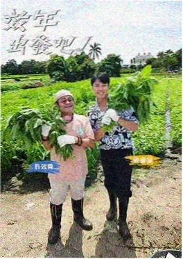 综艺一起露营吧夏日篇海报